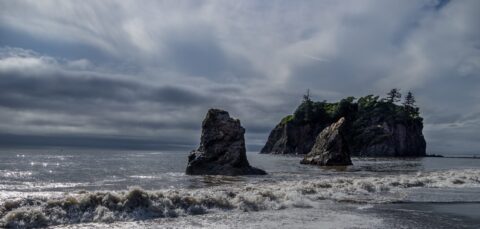 Sea Stacks And Abbey Island On Ruby Beach In Olympic National Park, WA