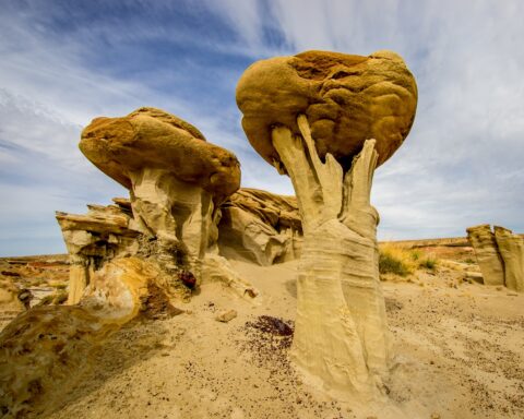 Visit Again, Giant Mushroom In Valley Of Dreams, NM