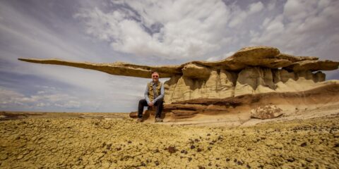 rrasha Happy To Sit And Take A Rest Under King Of The Wings (Momo’s Wing), NM