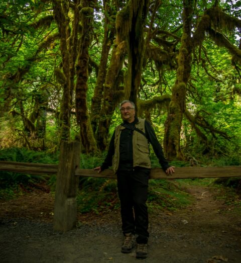 rrasha In Hall of Mosses In Olympic National Park, WA