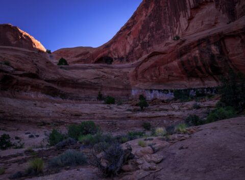 On The Trail To Pinto Arch, Moab, UT