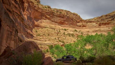 FJ At Buckhorn Wash Pictograph Panel Site, San Rafael Swell, UT