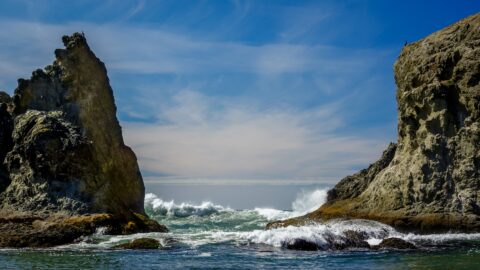 Action On The Bandon Beach, OR