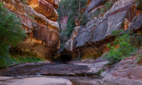 After Hiking 5 Hours: The Subway, Zion National Park, UT
