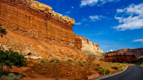 Along Scenic Drive In Capitol Reef National Park, UT