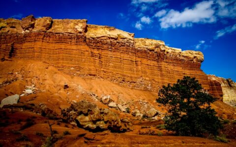 Along Scenic Drive In Capitol Reef National Park, UT