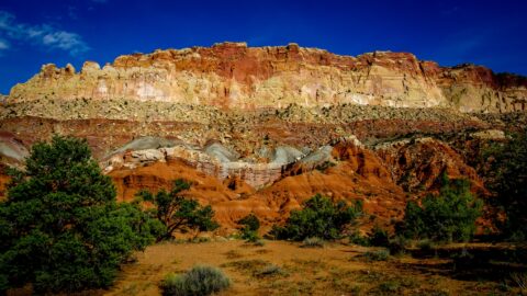Along Scenic Drive In Capitol Reef National Park, UT
