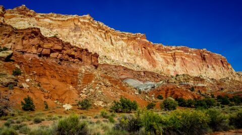 Along Scenic Drive In Capitol Reef National Park, UT