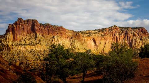 Along Scenic Drive In Capitol Reef National Park, UT