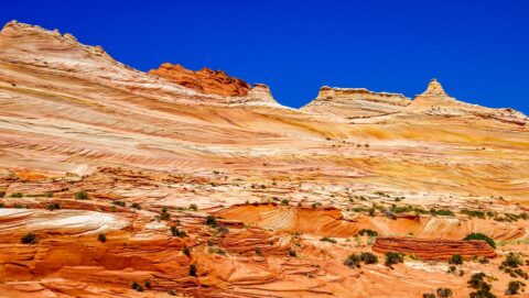 Along The Trail To The Wave, AZ