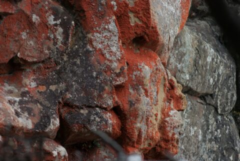Angry God Of Nature @ Cape Sebastian, OR