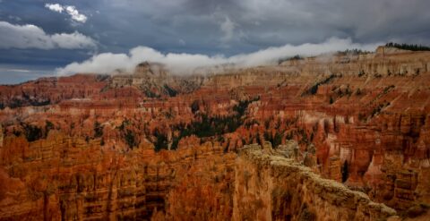 Rain Color Of Hoodoos In Bryce Canyon National Park, UT