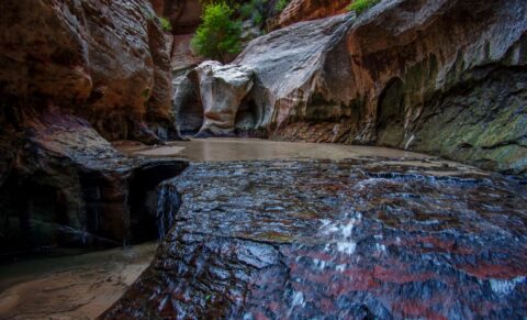Approaching Upper End Of The Subway, Zion National Park, UT