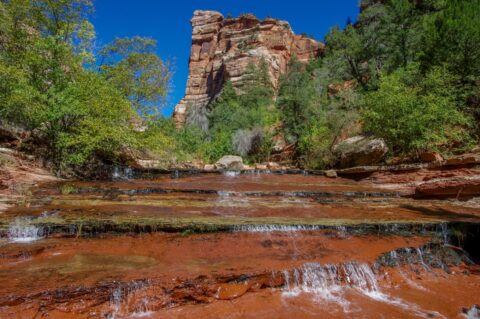 At Cascades near the Subway, Zion National Park, UT