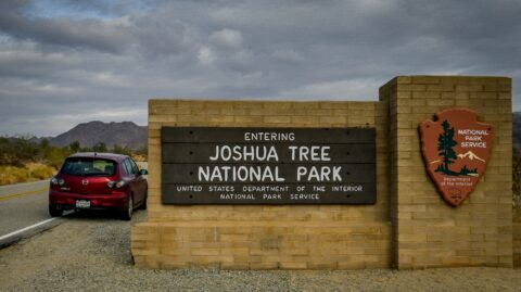 At the South Entrance to Joshua Tree National Park, CA