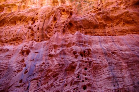 Attractive Wall Of Neon Canyon, Grand Staircase Escalante National Monument, UT