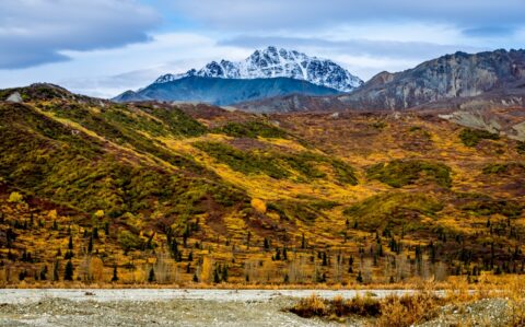 Autumn Colors Along Richardson Highway, AK