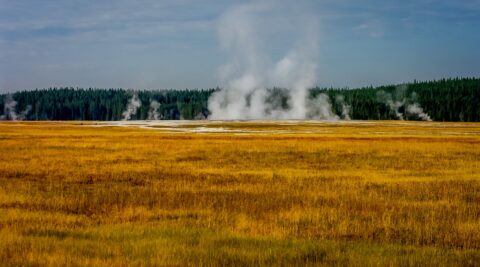Autumn Scenery In Lower Geyser Basin, Yellowstone National Park, WY