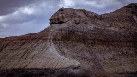 Badlands In Petrified Forest National Park, AZ