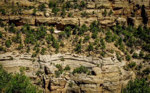 “Balcony House”, Cliff Dwelling Ruins In Mesa Verde National Park, CO