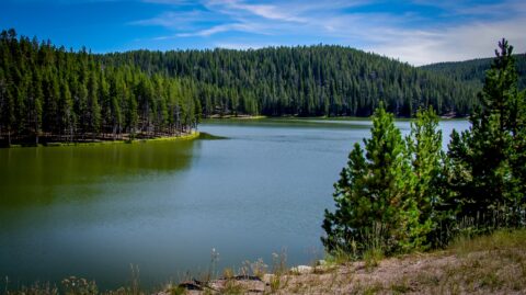 Beautiful Sibley Lake In Bighorn National Forest, WY