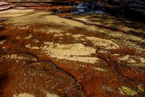 Psychedelic Colors of Water Bed Near the Subway, Zion National Park, UT