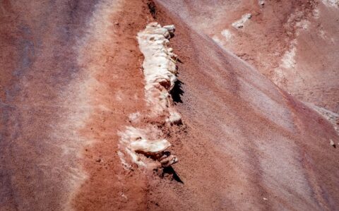Bentonite Crocodile Near Scenic Byway 24, UT