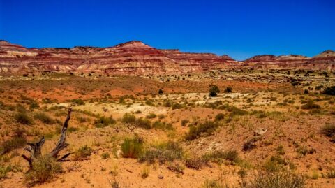 Bentonite Hills In Lower Cathedral Valley, UT