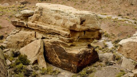 Big Rock With Petroglyphs In Petrified Forest National Park, AZ