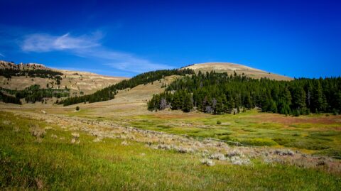 Bighorn National Forest, W