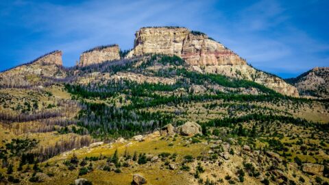 Bighorn National Forest, WY