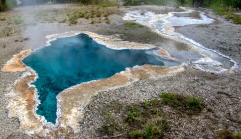 Blue Star Spring, Yellowstone National Park, WY