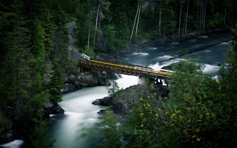 Bridge Over Murtle River In Wells Gray Provincial Park, BC