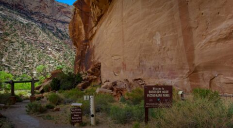 Buckhorn Wash Pictograph Panel, San Rafael Swell, UT