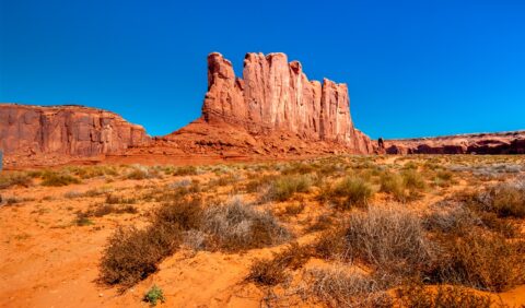 Camel, Monument Valley, AZ
