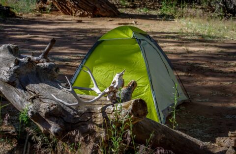 Camping at Salt Creek,  UT