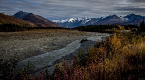 Canwell Glacier Field Along Richardson Highway, AK
