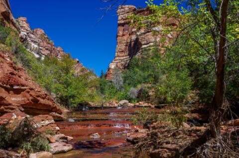 Cascades near the Subway, Zion National Park, UT