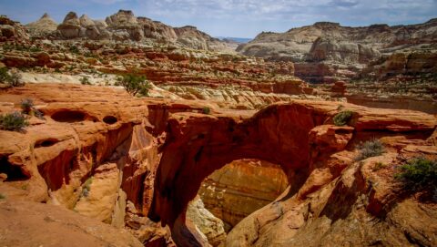 Cassidy Arch, Capitol Reef National Park, UT