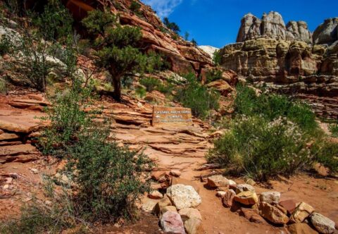 Cassidy Arch Trailhead, Capitol Reef National Park, UT