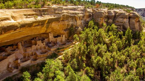 Cliff Palace In Mesa Verde National Park, CO