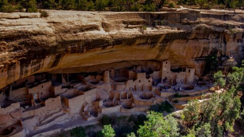 Cliff Palace In Mesa Verde National Park, CO