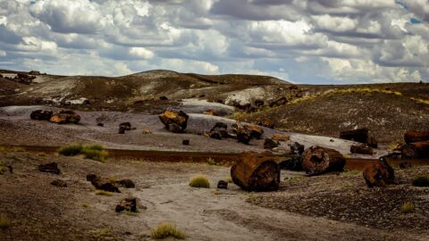 Cloudy Day  In Petrified Forest National Park, AZ