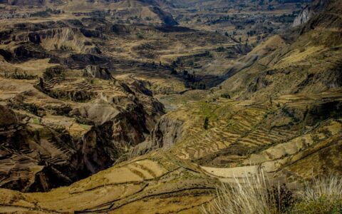 Colca Canyon, Peru