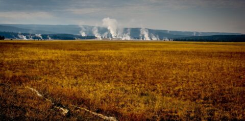 Cold September Morning In Yellowstone National Park, WY
