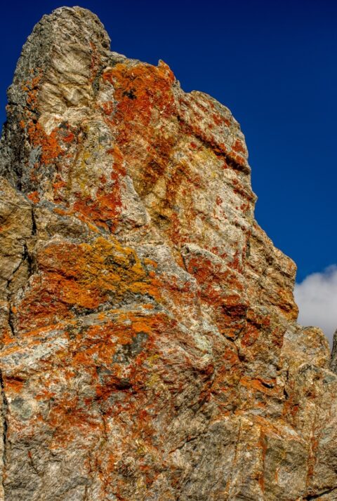 Colorful Volcanic Rock Formation Along Savage Alpine Trail In Denali National Park, AK