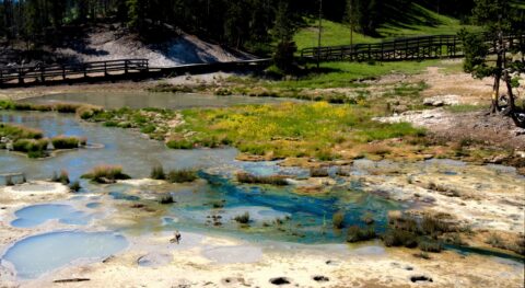 Colorful Sulfur Pool, Yellowstone National Park. WY
