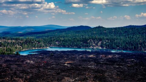 Devastated Area Near Butte Lake, Lassen Volcanic National Park, CA