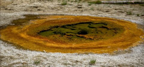 Economic Geyser, Yellowstone National Park, WY