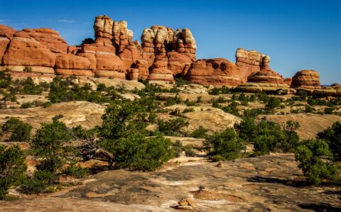Elephant Hill Trail,  Needles, Canyonlands National Park, UT